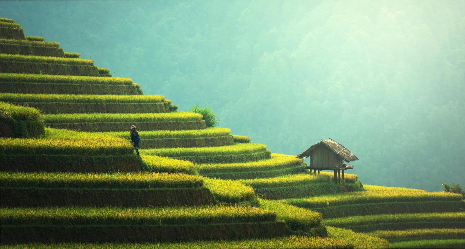 The Real Cost of Traveling Southeast Asia for 30 Days (Full Breakdown)