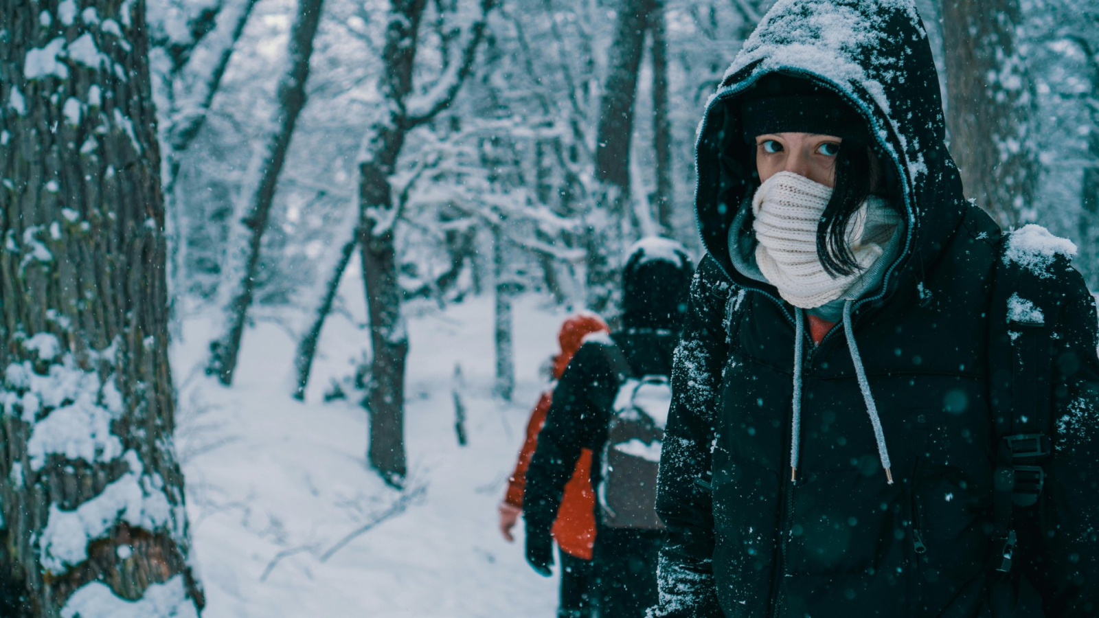 Cultural Etiquette: Travel Tips for Respectful Adventures
