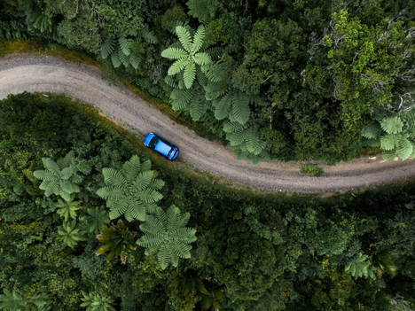 10 Essential Tips for Planning an Eco-Conscious Road Trip: A Sustainable Travel Guide